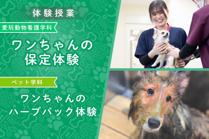 観光のランチ付きでじっくり過ごせる１DAY型オープンキャンパス♪6/14（日）