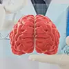 脳卒中