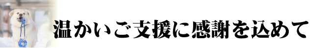 感謝