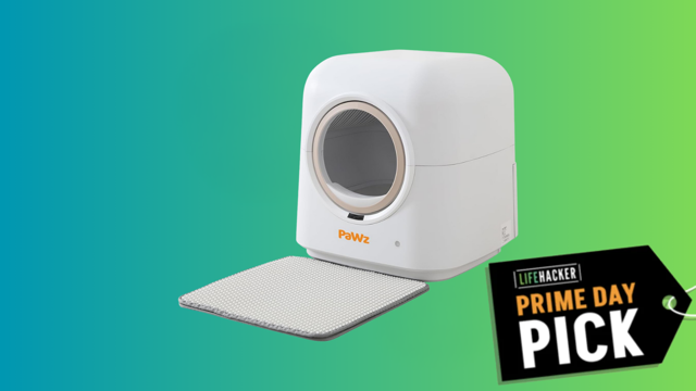 Amazon Big Deal Days: This Self-Cleaning Cat Litter Box is 28% Off