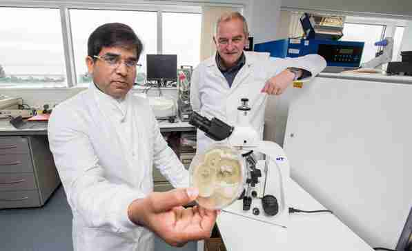 Dr. Minshad Ansari in his Lab