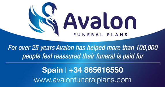 avalonwebadvert3