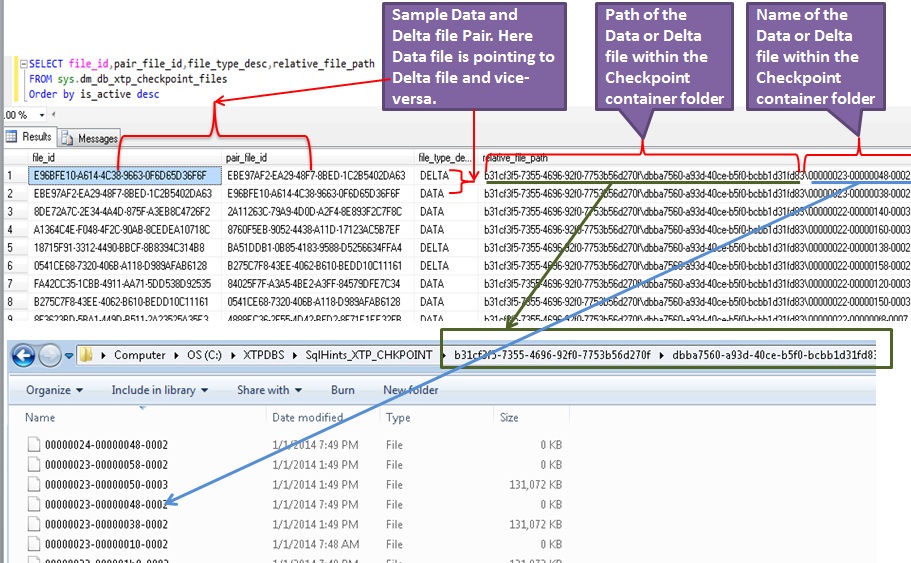 CheckPointFilesMetaData