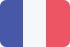 France VPN Server Flag Icon