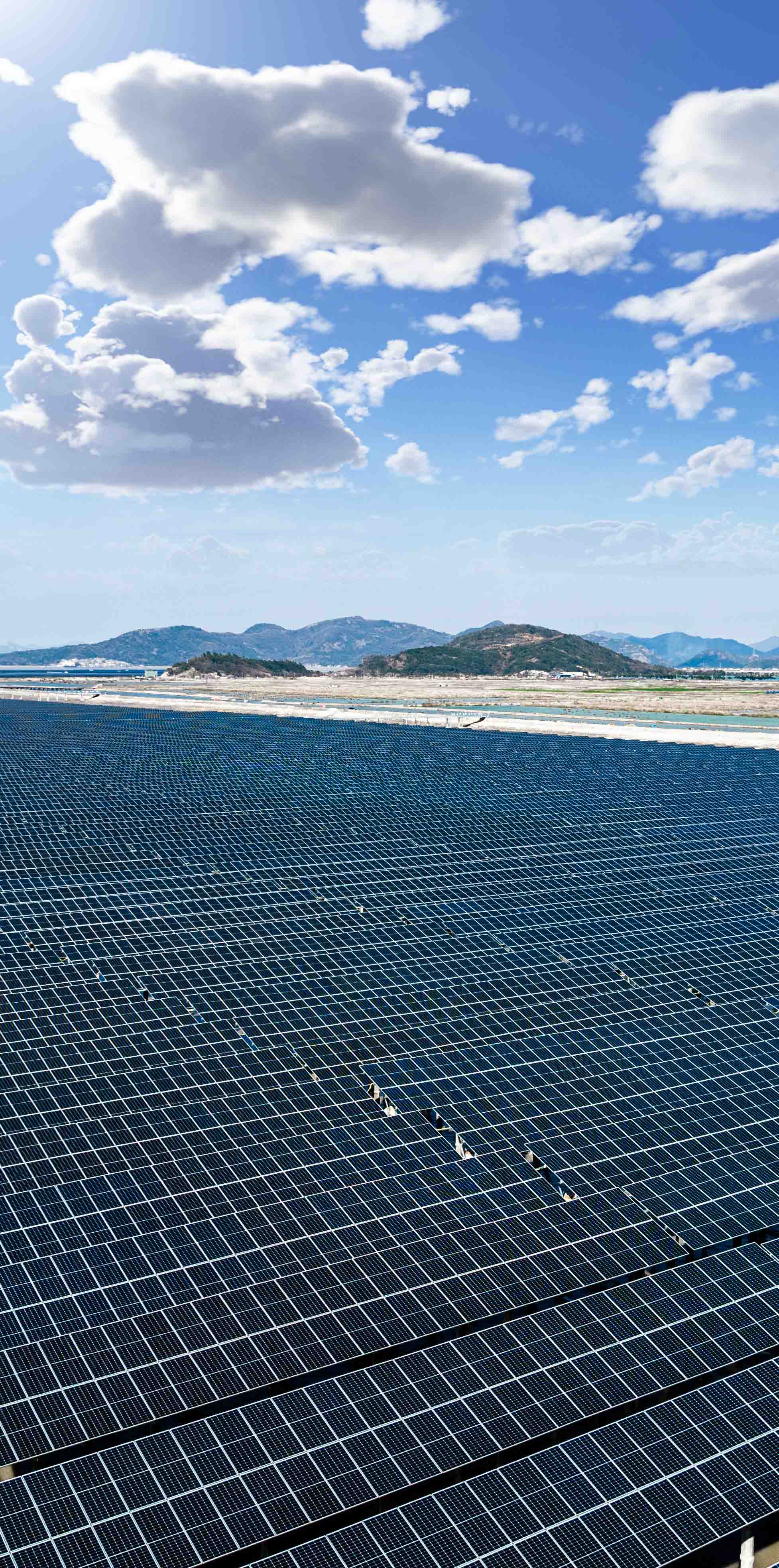 隆基太阳能光伏电站解决方案