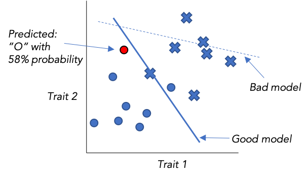 Classification