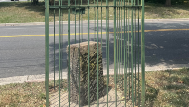 Alexandria Boundary Stone FI