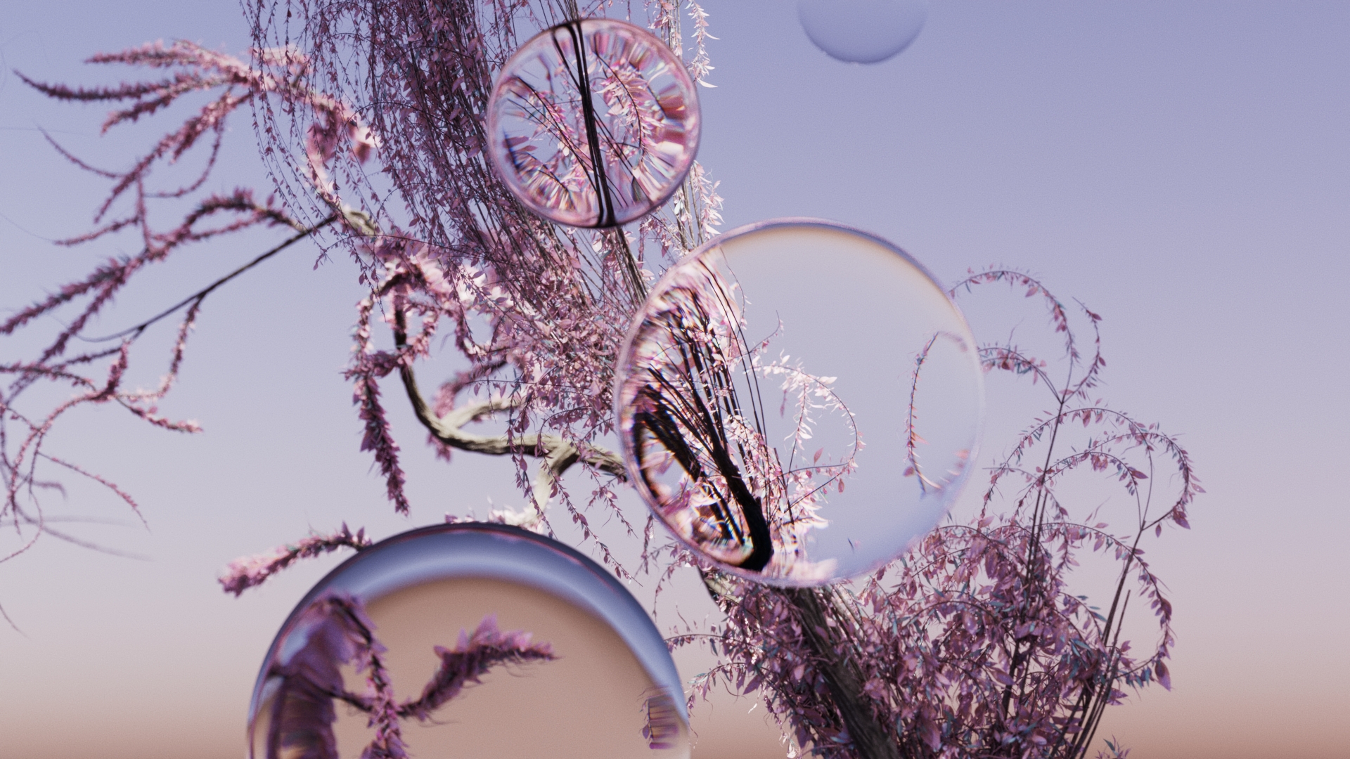 lens_experiment_08_v02_1.18.1