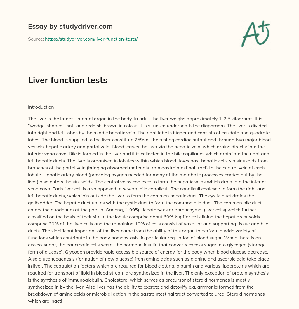 Liver Function Tests essay