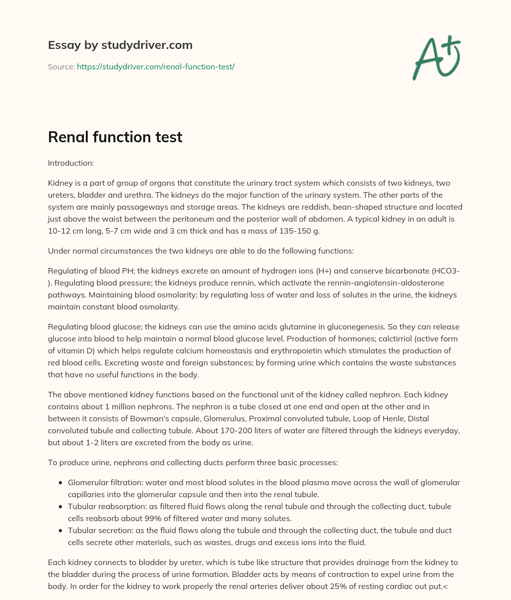 Renal Function Test essay