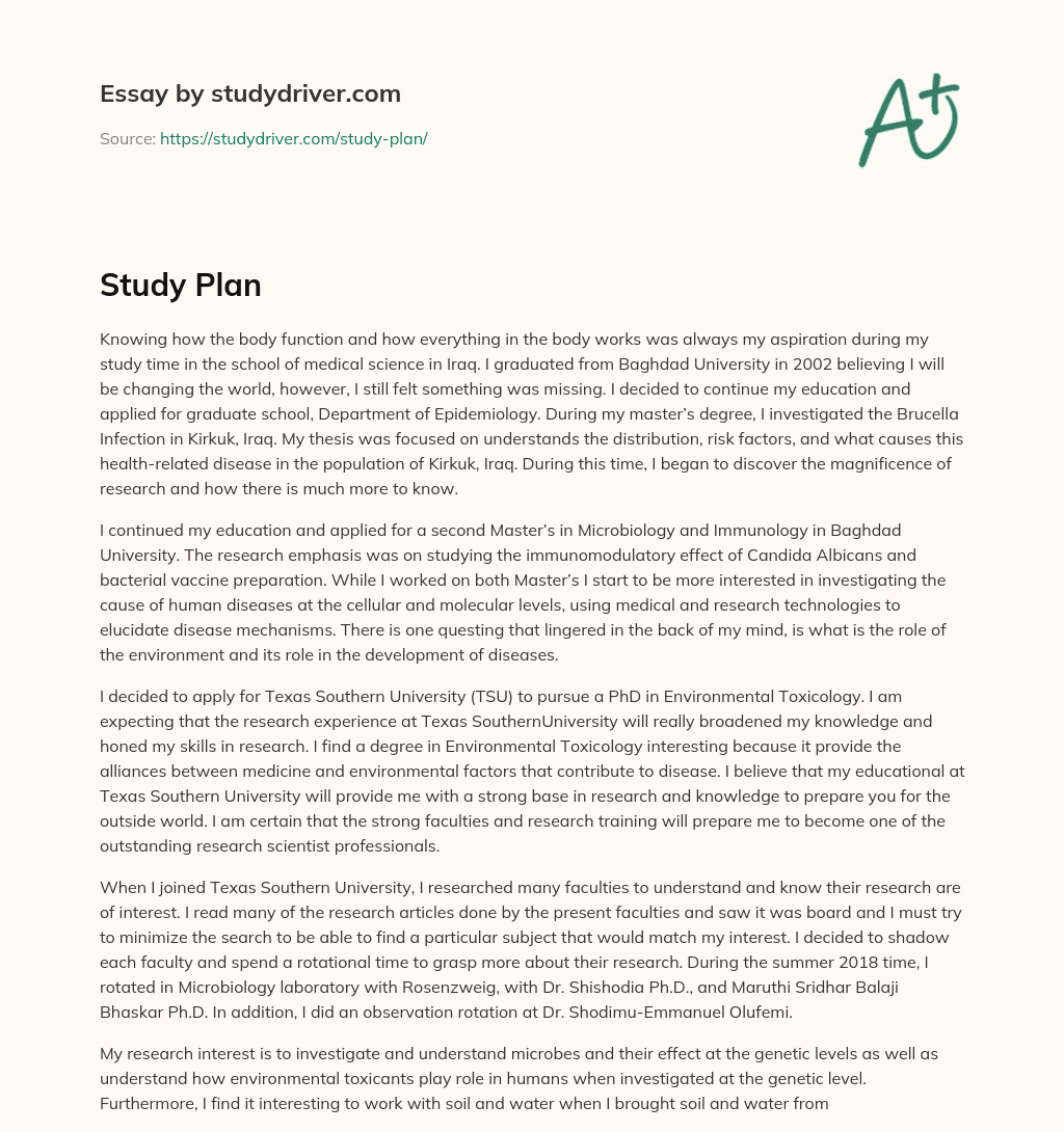 Study Plan essay