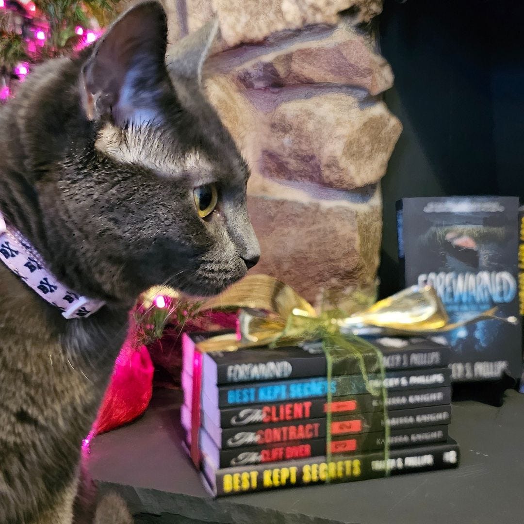 Gray cat near a stack of books. Gray cat near a stack of books.