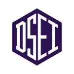 DSEI-Logo (1)