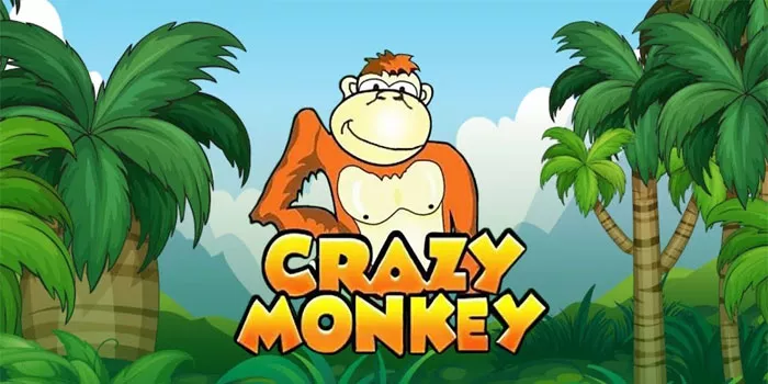 Panduan Lengkap Cara Bermain Crazy Monkey