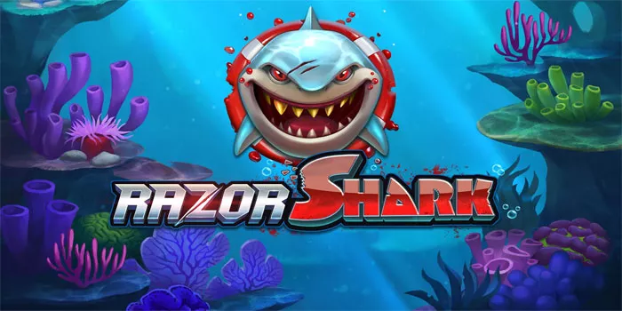 Viral Cara Cara Bermain Razor Shark dan Menang Jackpot Besar