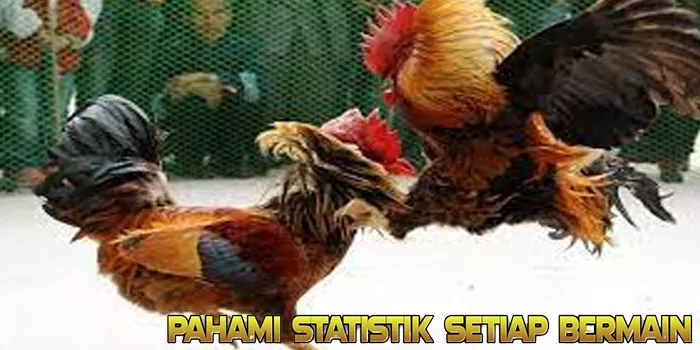 Pahami Statistik Setiap Bermain Sabung Ayam Online 