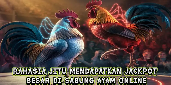 Rahasia Jitu Mendapatkan Jackpot Besar Di Sabung Ayam Online