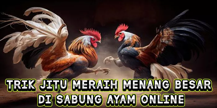 Trik Jitu Meraih Menang Besar Di Sabung Ayam Online