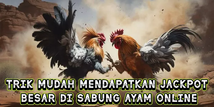 Trik Mudah Mendapatkan Jackpot Besar Di Sabung Ayam Online
