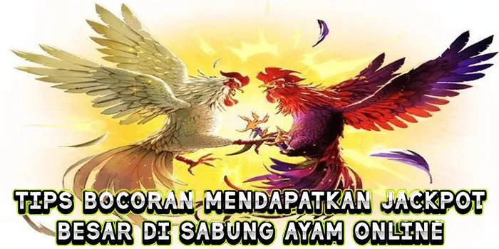 Tips Bocoran Mendapatkan Jackpot Besar Di Sabung Ayam Online