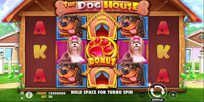 Trik Mudah Menang Besar Saat Main Slot The Dog House''700