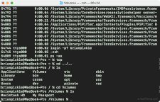 The macOS terminal uses the Zsh shell