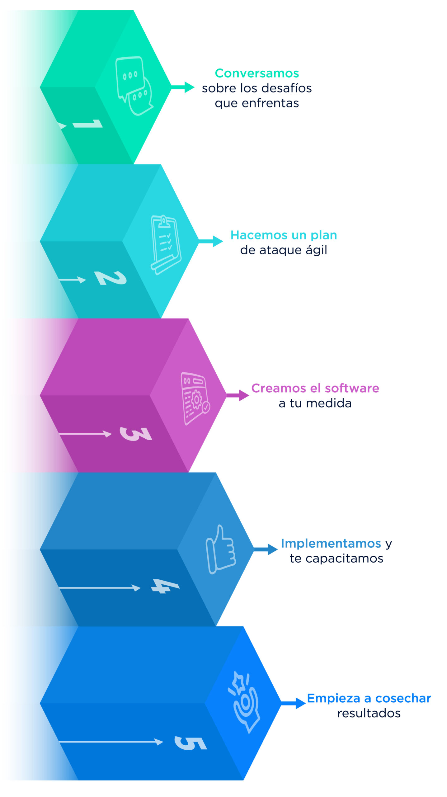 El plan, proyecto Teknik desarrollo de software a la medida y consultoría de TI