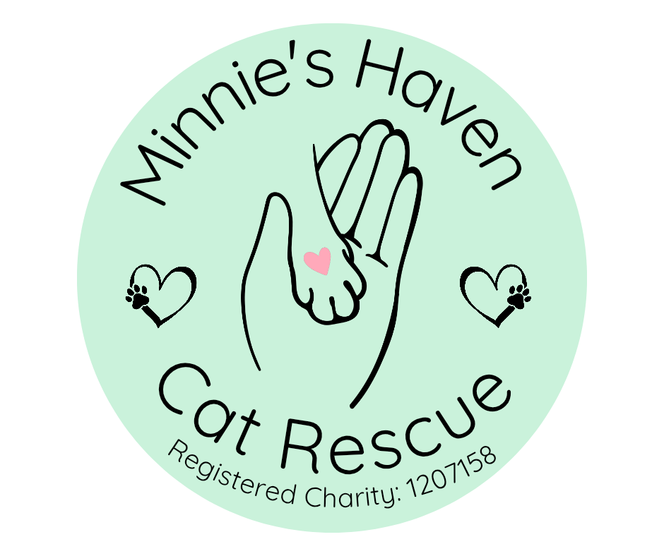 Minnie’s Haven Cat Rescue