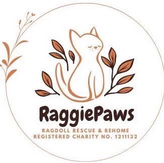 RaggiePaws Ragdoll