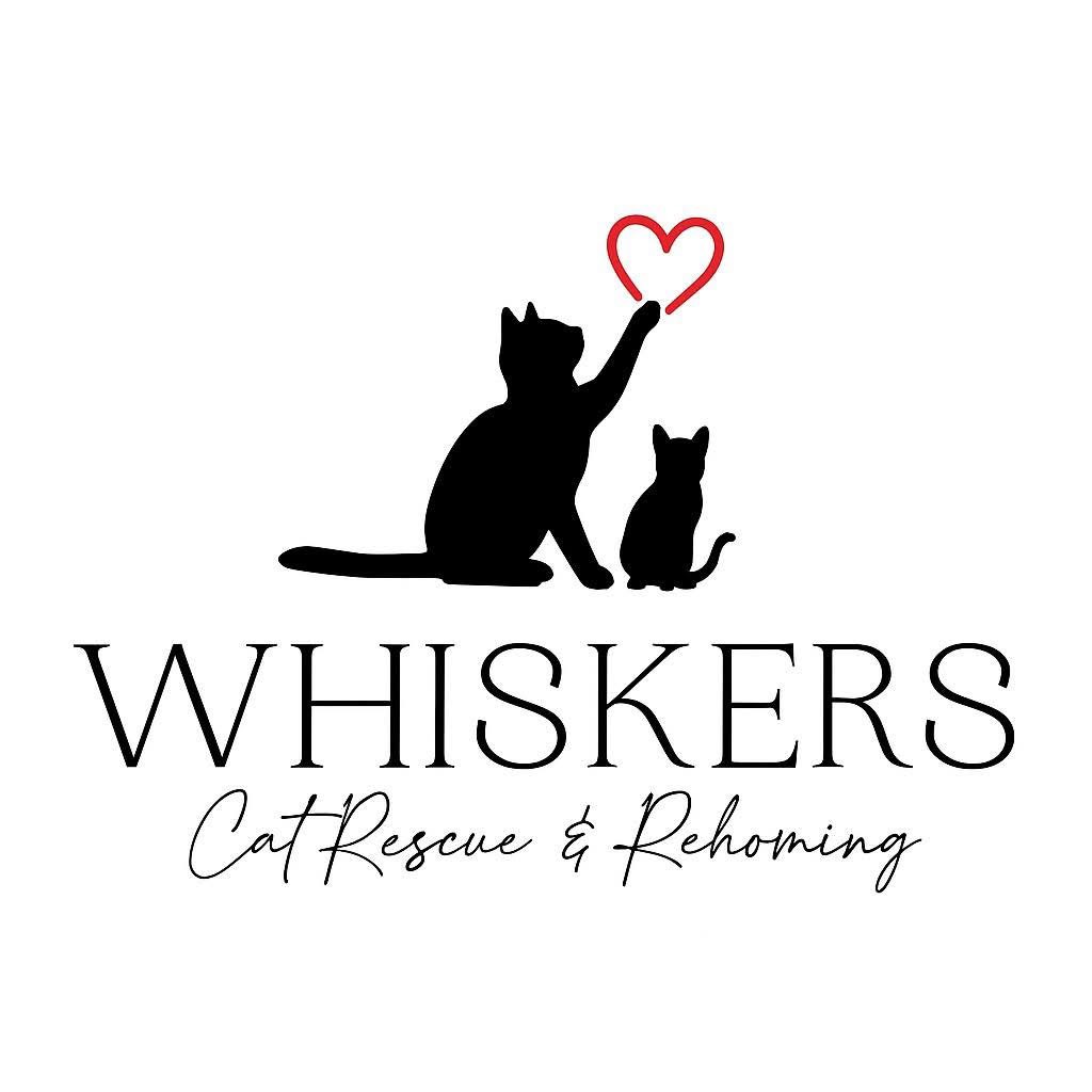Whiskers Cat Rescue