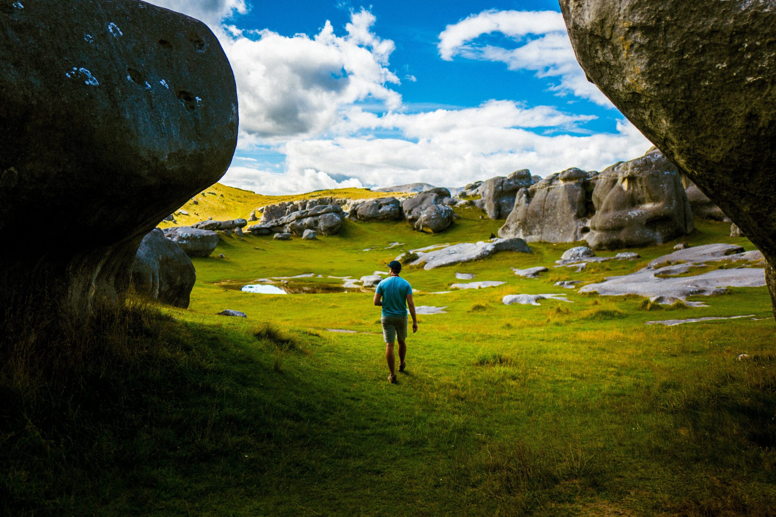 Photo by Steven Coffey on Unsplash