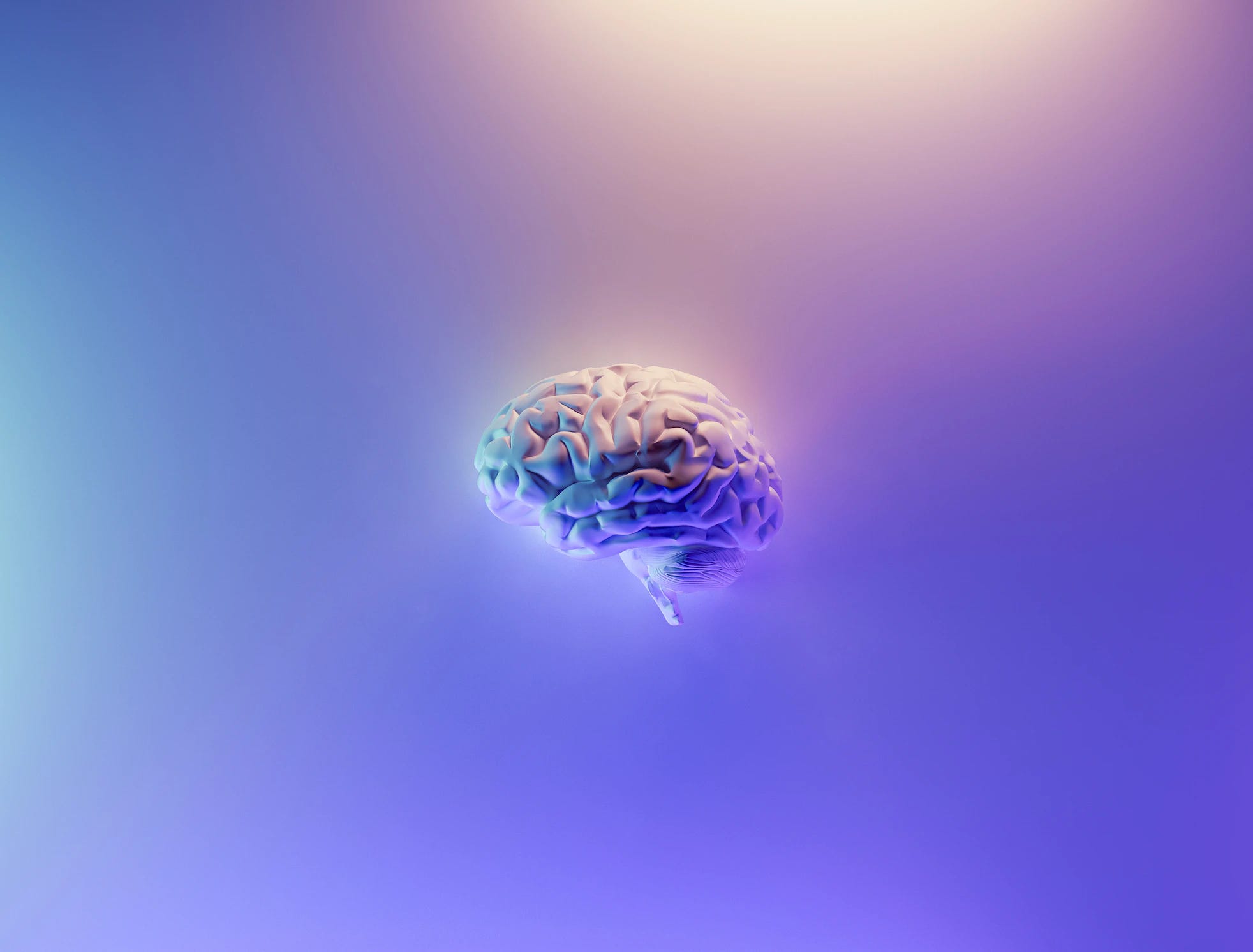 Neuroimaging, by Milak Fakurian on Unsplash, link