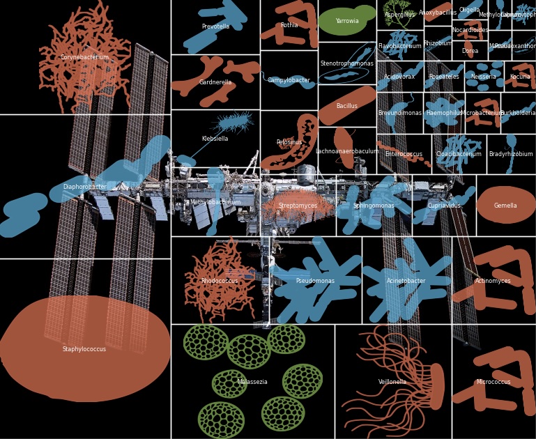 ISS overlayed with the bacteria and fungi living in it