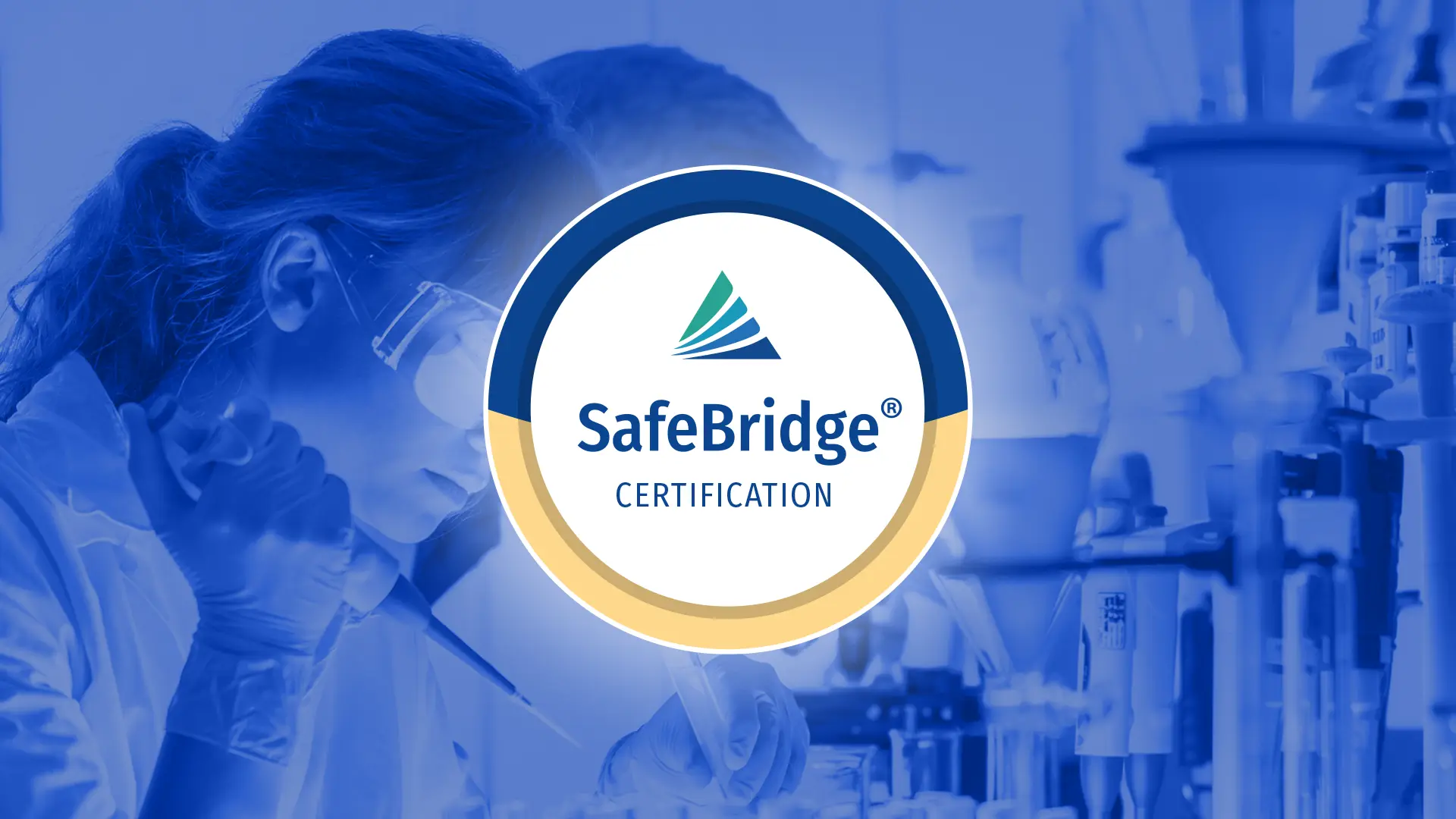 From Safety to Business Growth: The Strategic Value of SafeBridge Certification Blog