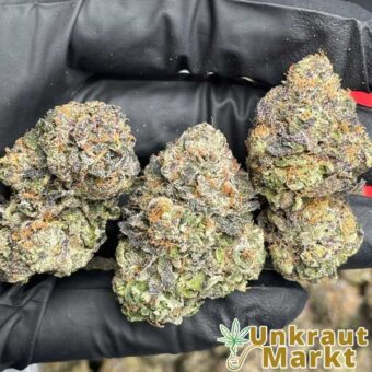 orange-kush