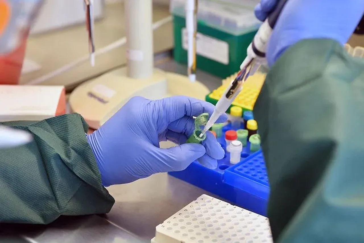 What Is A Polymerase Chain Reaction And How Does It Work?