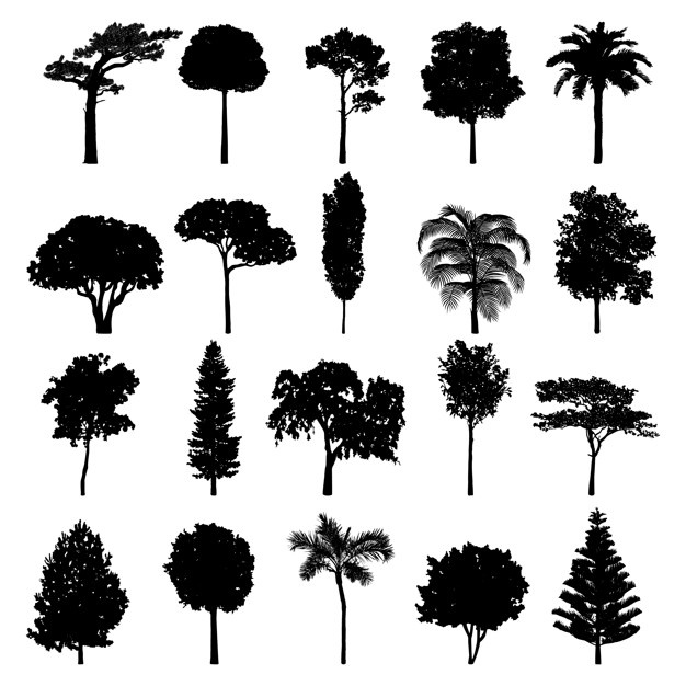 626x626 Huge Collection Of 'free Tree Vector Silhouette' Download More