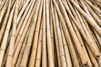 350x233 Smsx Sim Ingimage Cheap Royalty Free Subscription