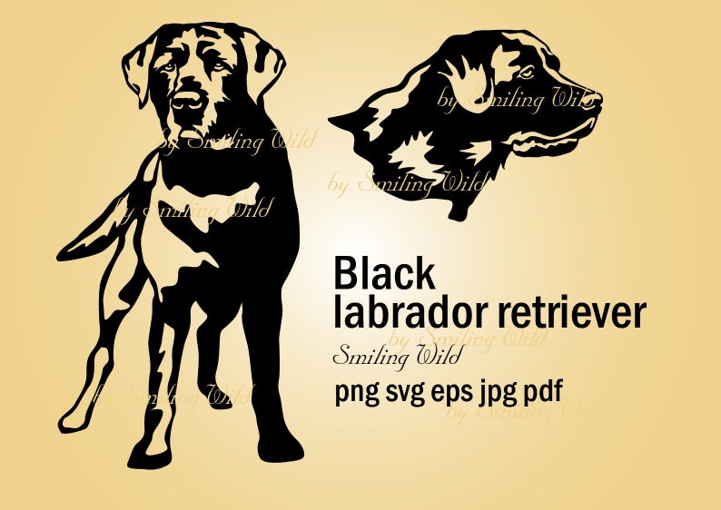 794x562 Lab Dog Clipart Black Labrador Retriever Vector Graphic Etsy