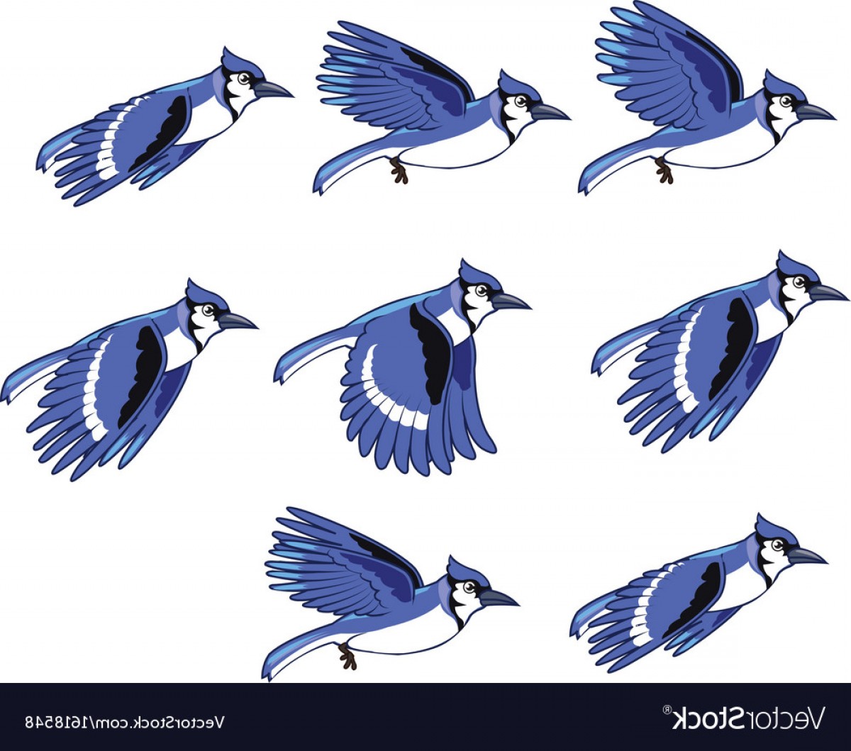 1200x1059 Blue Jay Animation Sprite Vector Createmepink