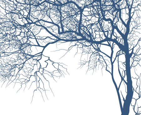 Branch Vector Free