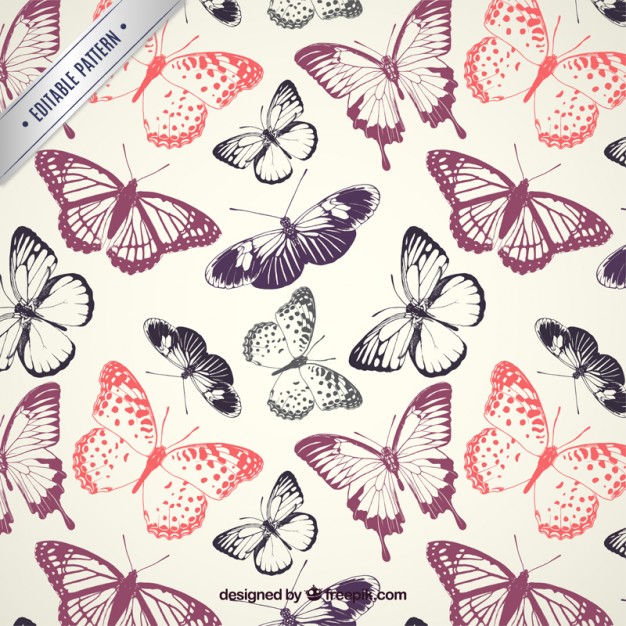 626x626 Butterflies Pattern Vector Premium Download