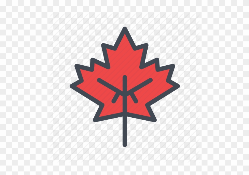 840x592 Maple Leaf Vector Icon