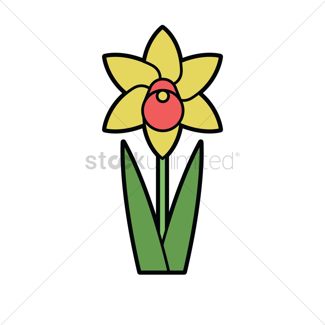 1300x1300 Free Daffodil Vector Image