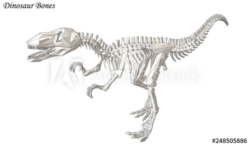 500x292 Dinosaur Bone Vector Raptor