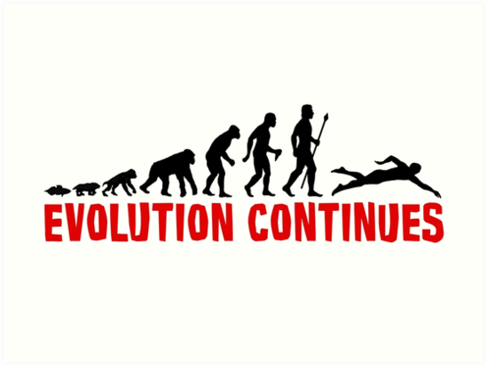 549x413 Huge Collection Of 'evolution Silhouette' Download More Than