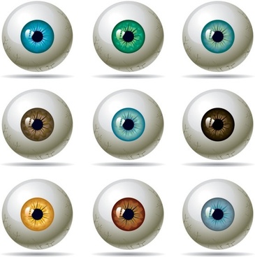 365x368 Eye Free Vector Download