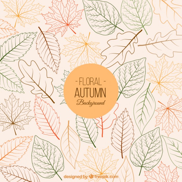 626x626 Floral Autumn Background Vector Free Download