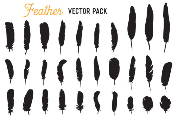 580x387 Feather Vector Clipart Pack Graphic