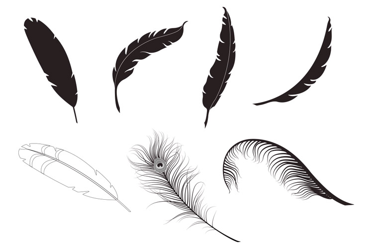 750x500 Feather Vector Pack Design Panoply